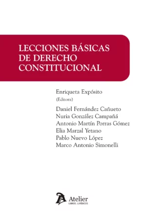Lecciones básicas de derecho constitucional