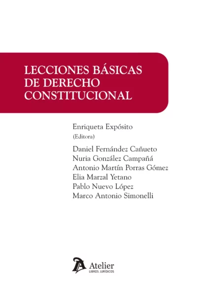 Lecciones básicas de derecho constitucional