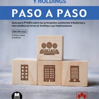 Grupos de empresas y holdings. Paso a paso Guía para PYMES sobre las principales cuestiones tributarias y mercantiles en torno al holding y sus implicaciones