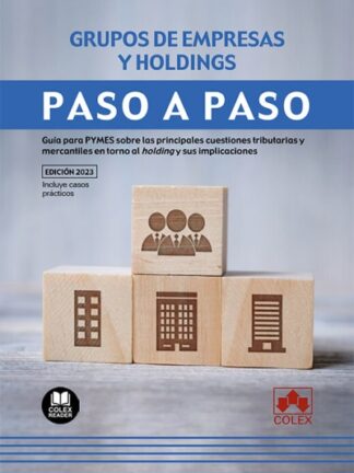 Grupos de empresas y holdings. Paso a paso Guía para PYMES sobre las principales cuestiones tributarias y mercantiles en torno al holding y sus implicaciones