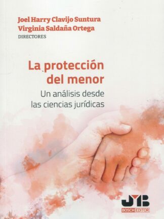 La protección del menor. Un análisis desde las ciencias jurídicas