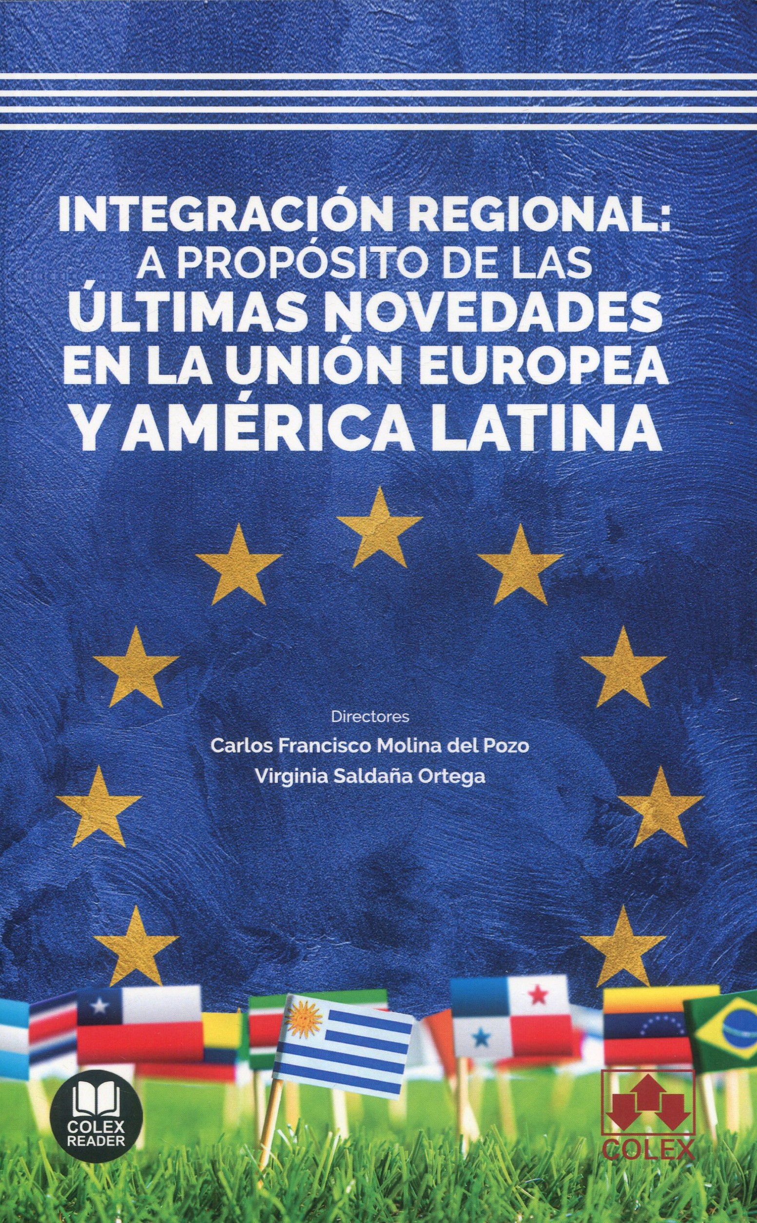 Integración regional: a propósito de las últimas novedades en la Unión Europea y América Latina 9788413599762
