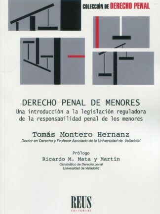 Derecho penal de menores. Una introducción a la legislación reguladora de la responsabilidad penal de menores