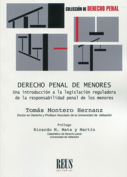 Derecho penal de menores. Una introducción a la legislación reguladora de la responsabilidad penal de menores