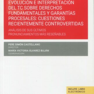Evolución e interpretación del TC sobre derechos fundamentales y garantías procesales: cuestiones recientemente controvertidas. Análisis de sus últimos pronunciamientos más reseñables