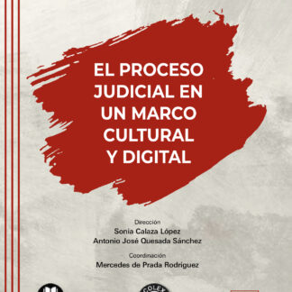 Proceso judicial en un marco cultural y digital