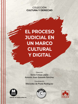 Proceso judicial en un marco cultural y digital