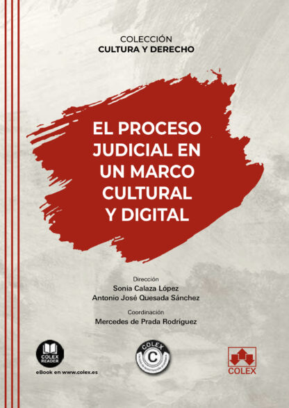 Proceso judicial en un marco cultural y digital