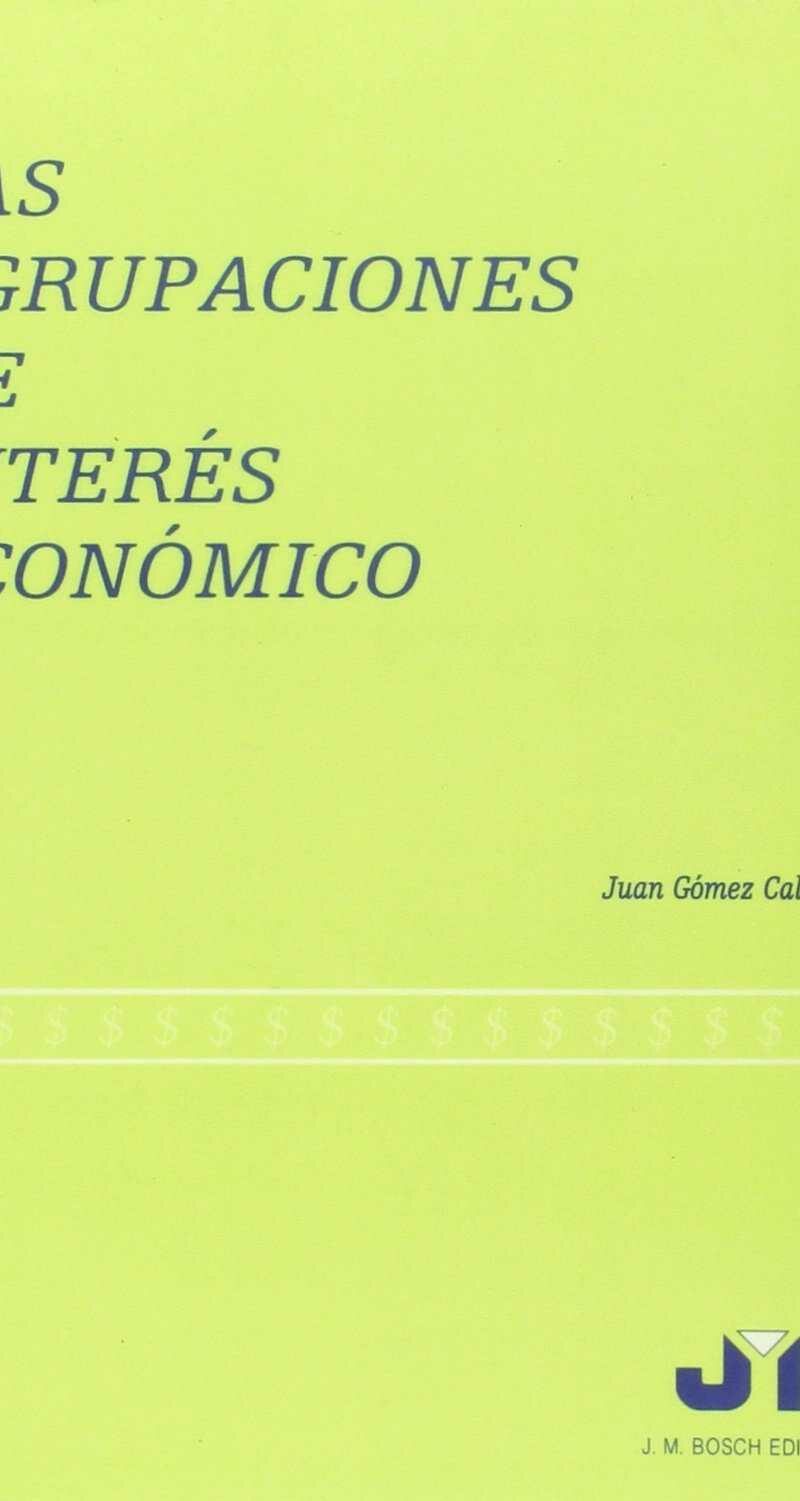 Agrupaciones de Interés Económico