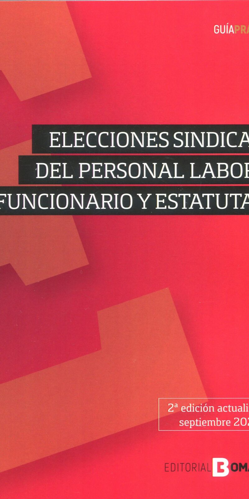 Elecciones sindicales del personal laboral, funcionario y estatutario 9788419574329