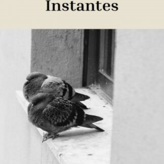 Instantes