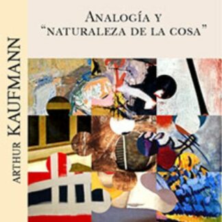 Analogía y naturaleza de la cosa, hacia una teoría de la comprensión Jurídica