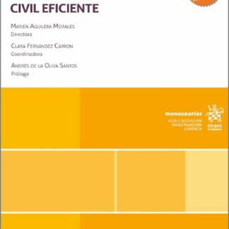 Derecho de la Unión Europea y justicia civil eficiente