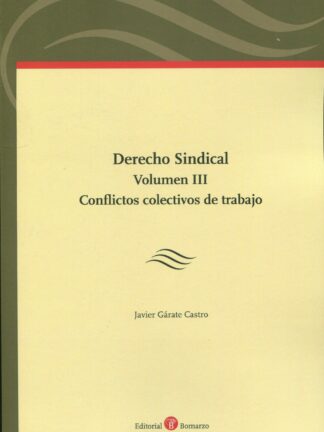 Derecho Sindical Volumen III Conflictos colectivos de trabajo