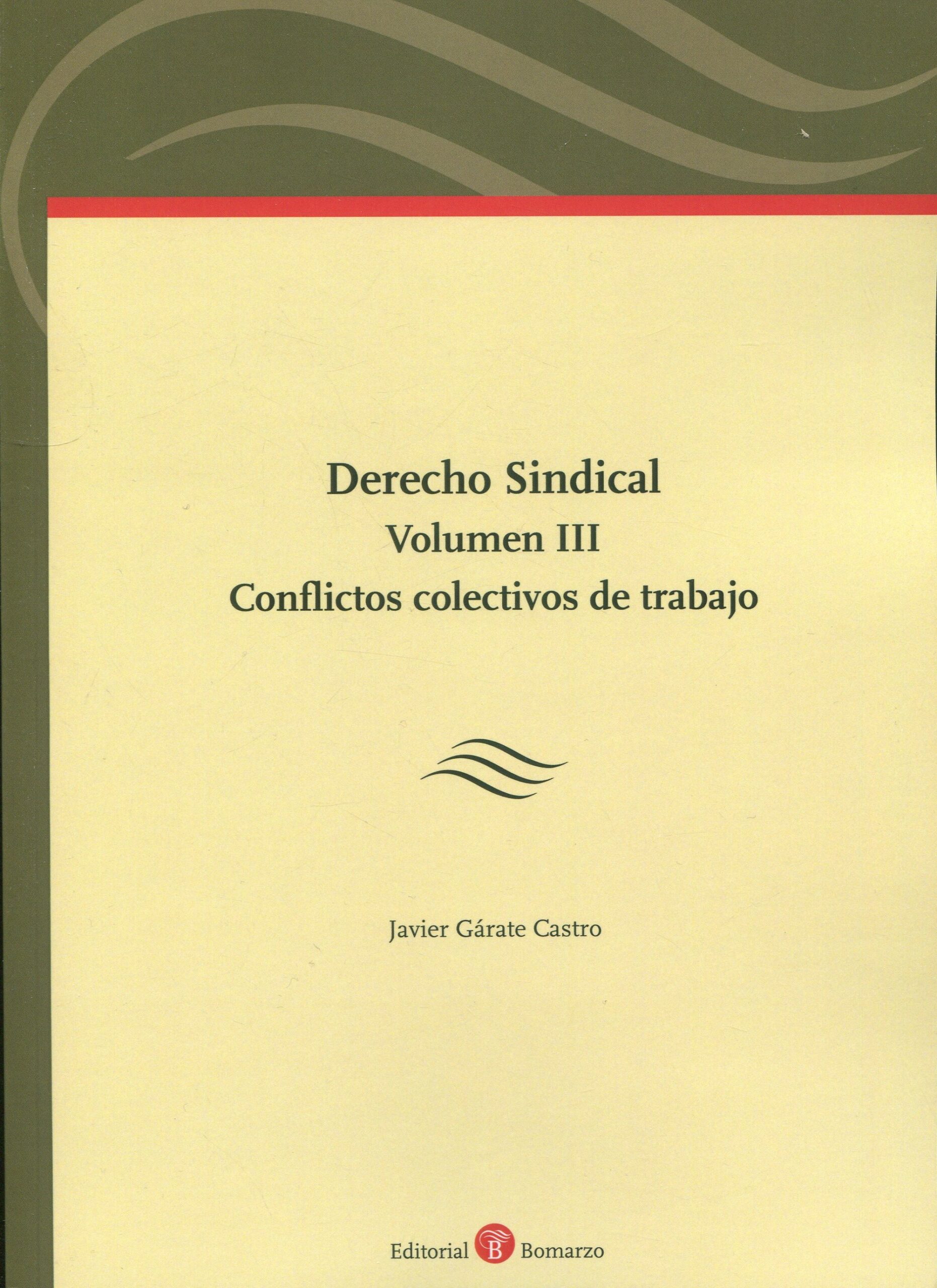 Derecho Sindical Volumen III 9788419574350