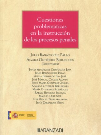 Cuestiones problemáticas en la instrucción de los procesos penales