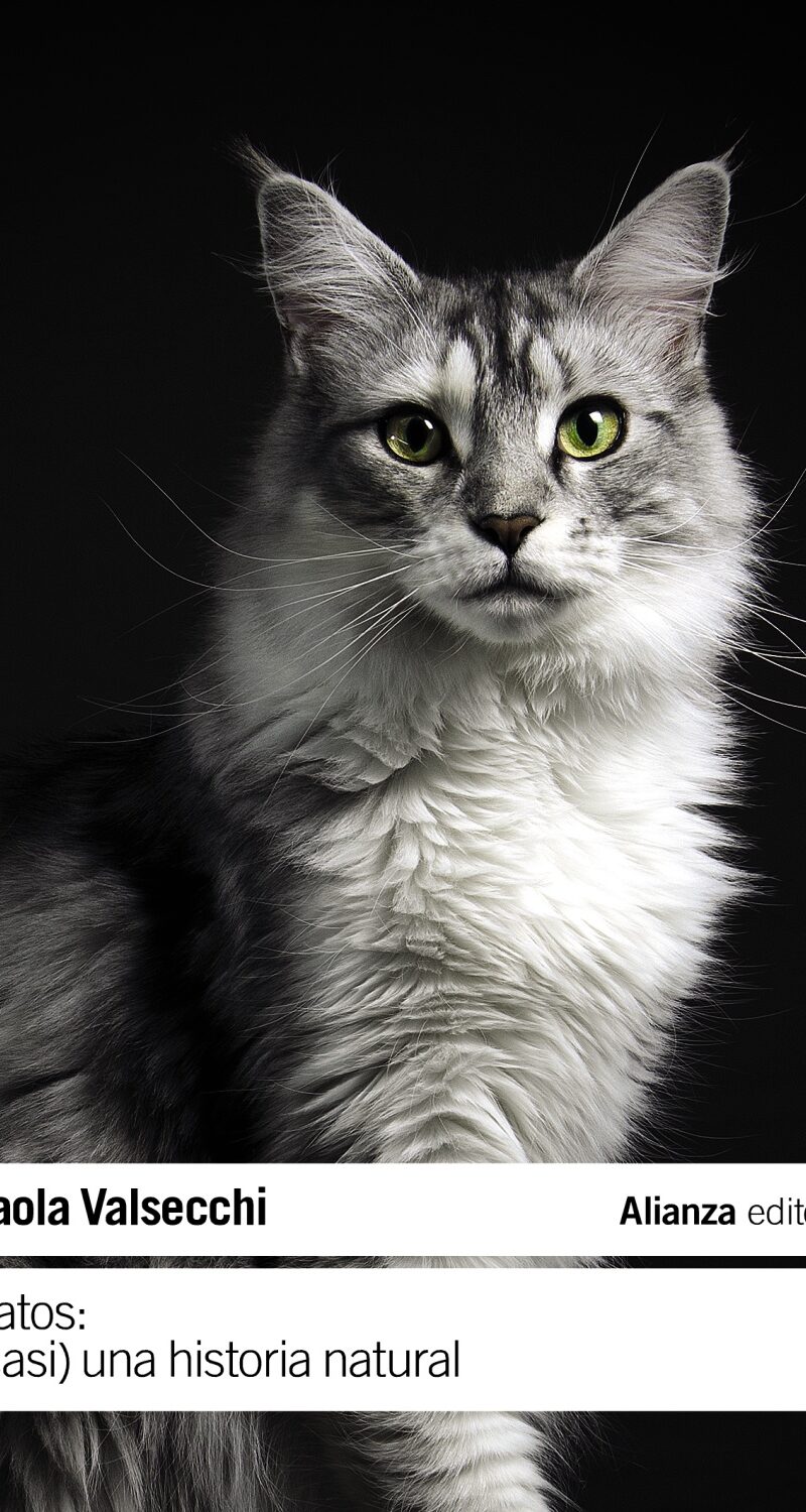 Gatos: (Casi) una historia natural