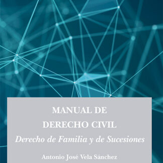 Manual de Derecho Civil. Derecho de Familia y de Sucesiones