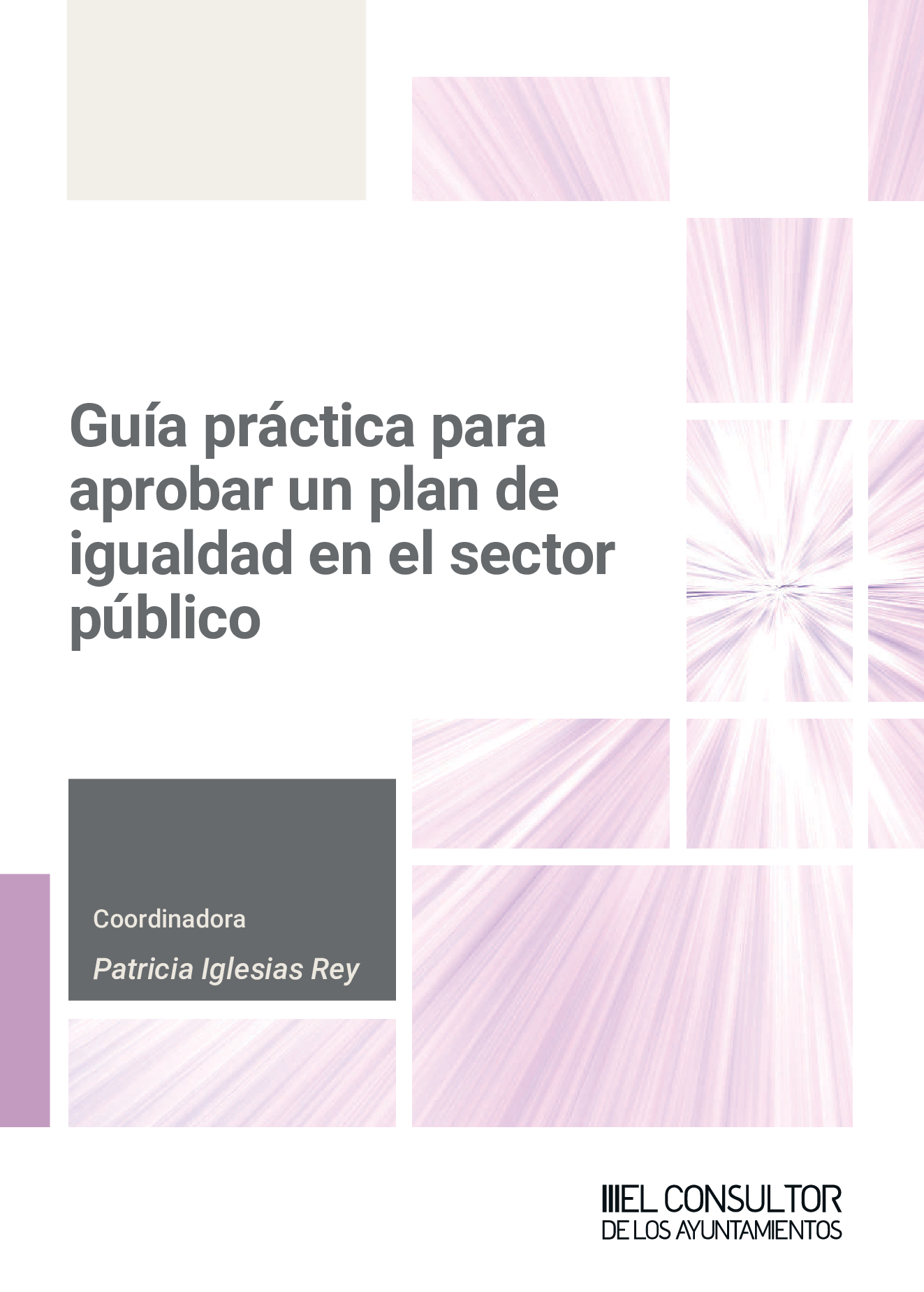 Guía práctica para aprobar un plan de igualdad sector público