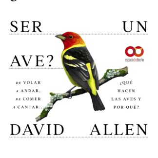 ¿Cómo es ser un ave? De volar a anidar, de comer a cantar... ¿Qué hacen las aves y por qué?