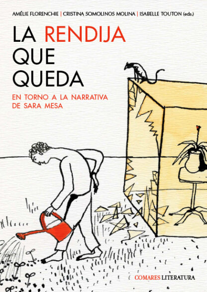 La rendija que queda. En torno a la narrativa de Sara Mesa