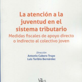 La atención a la juventud en el sistema tributario. Medidas fiscales de apoyo directo o indirecto al colectivo joven