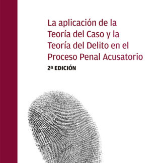 Aplicación de la teoría del caso y la teoría del delito en el proceso penal acusatorio 2024