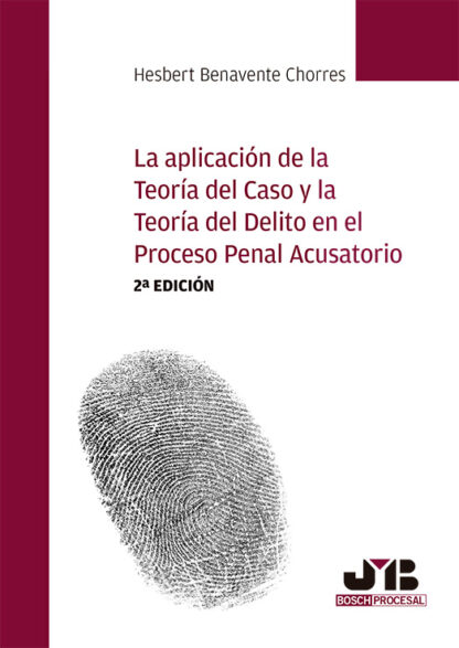 Aplicación de la teoría del caso y la teoría del delito en el proceso penal acusatorio 2024