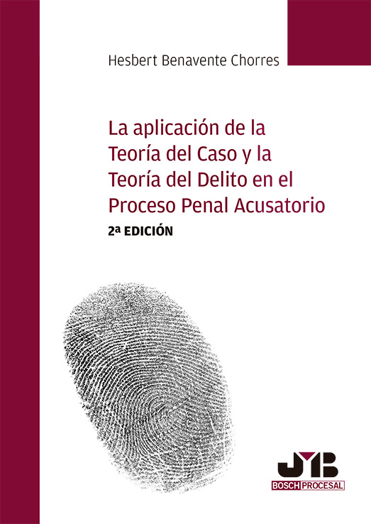 La aplicación de la teoría del caso y la teoría del delito