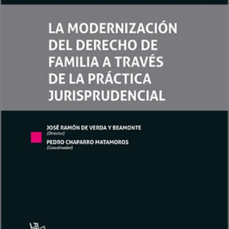 La modernización del derecho de familia a través de la práctica jurisprudencial