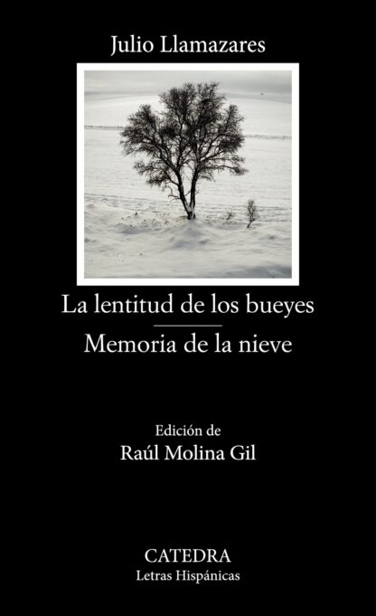 La lentitud de los bueyes. Memoria de la nieve
