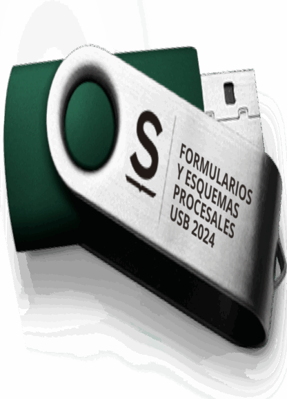 USB Formularios y Esquemas Procesales 2024