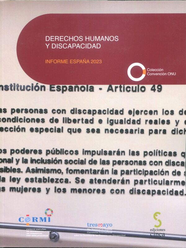 Derechos humanos y discapacidad / 9788410167124