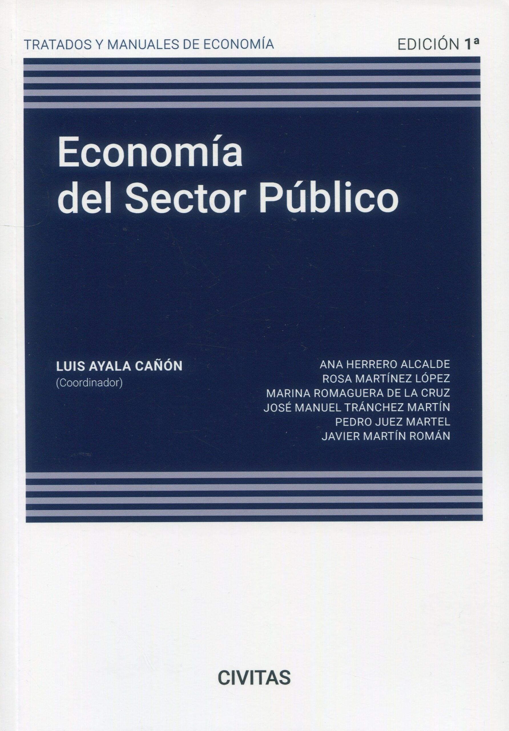 Manual de economía en el sector público / 9788411256377