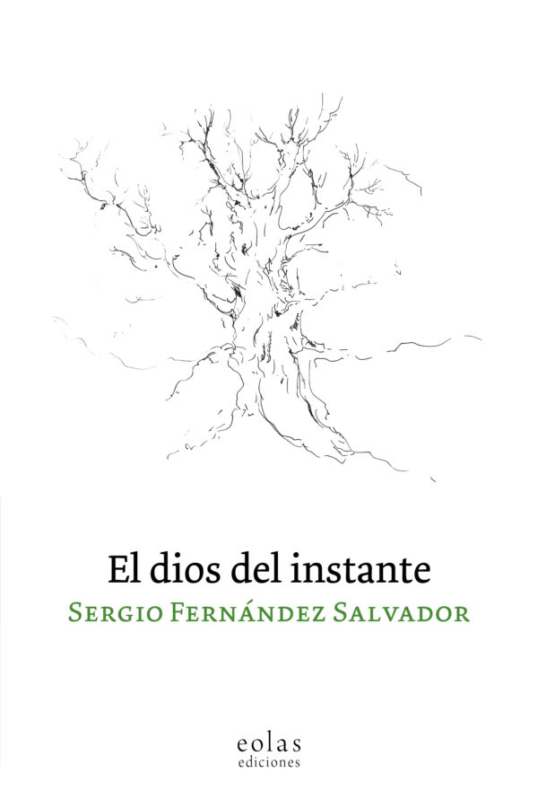 El Dios del instante / 9788410057432 / S. FERNÁNDEZ