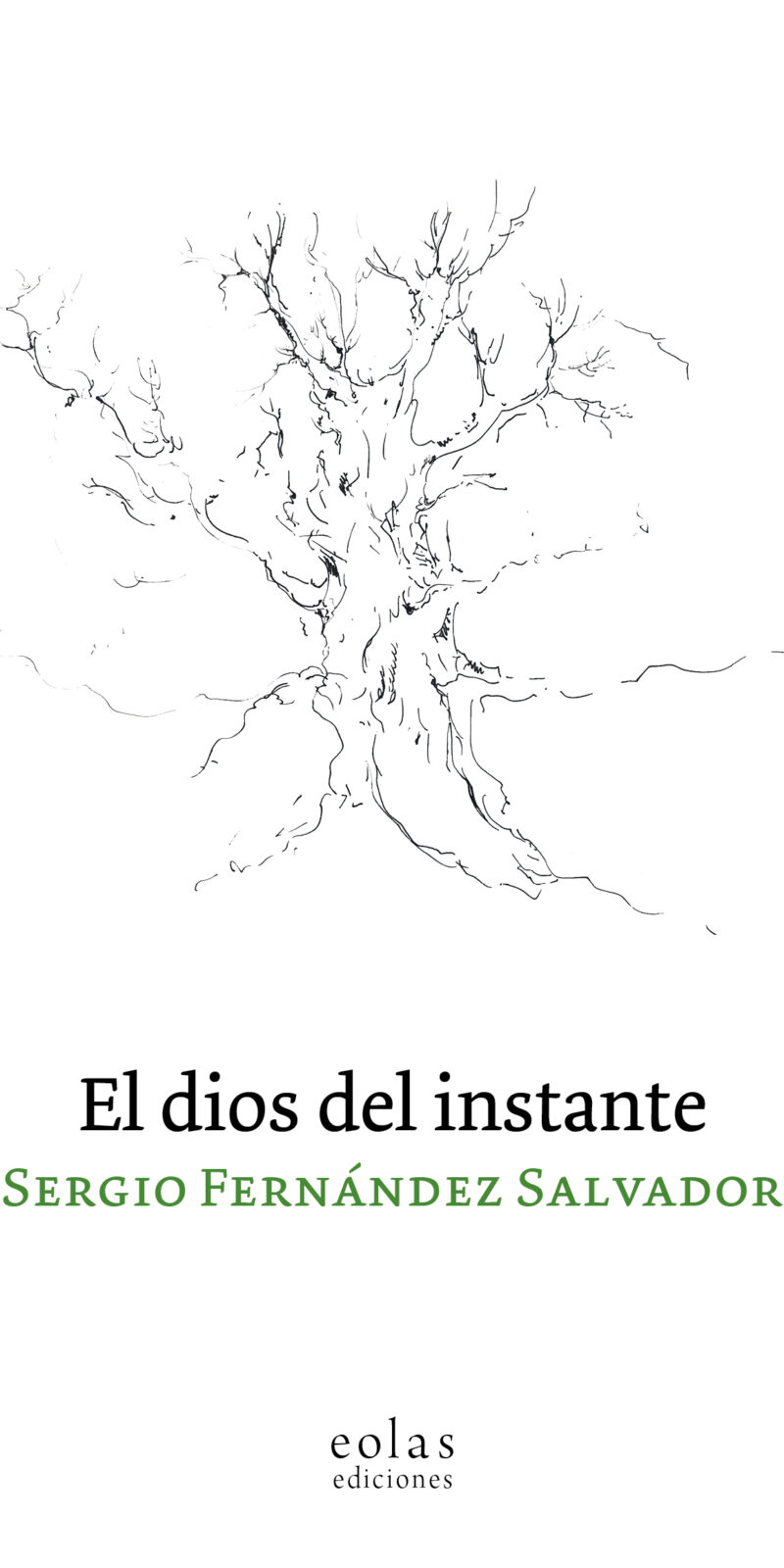 El Dios del instante / 9788410057432 / S. FERNÁNDEZ