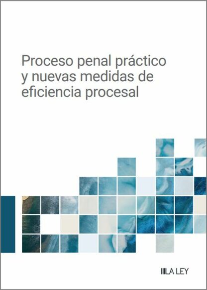 Proceso penal práctico y nuevas medidas de eficiencia procesal