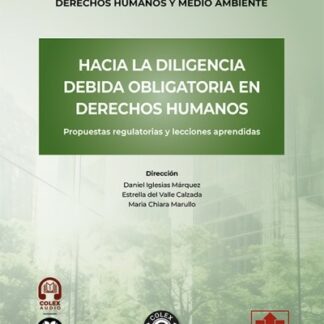 Hacia la diligencia debida obligatoria en derechos humanos. Propuestas regulatorias y lecciones aprendidas