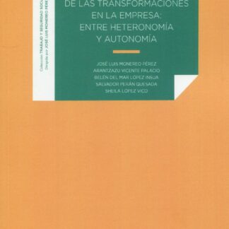 Salario en la encrucijada de las transformaciones en la empresa: entre heteronomía y autonomía