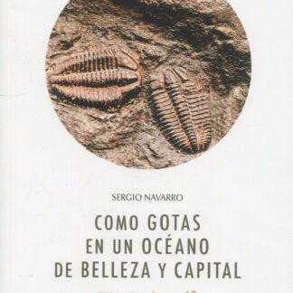 Como gotas en un océano de belleza y capital. Eros después del 68 y la poesía española del siglo XXI