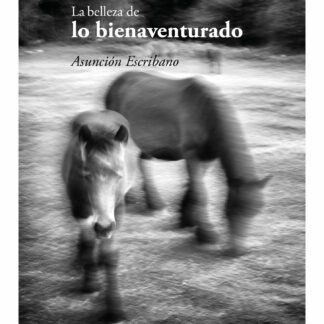 Belleza de lo bienaventurado