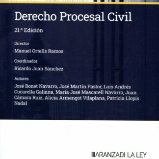Derecho procesal civil 2024