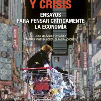 Desigualdad y crisis. Ensayos para pensar críticamente la economía