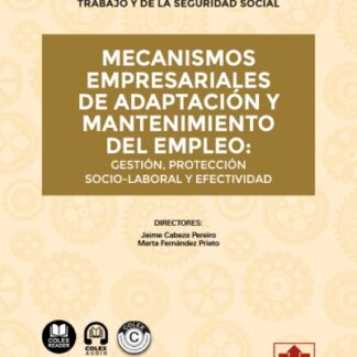 Mecanismos empresariales de adaptación y mantenimiento del empleo: gestión, protección socio-laboral y efectividad