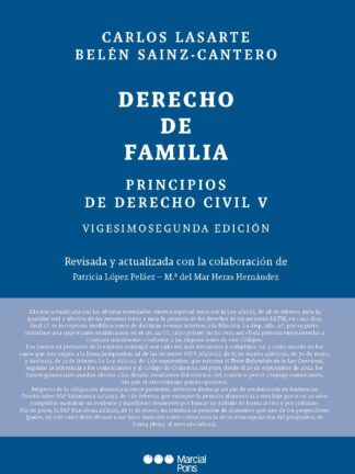 Principios de derecho civil V. Derecho de familia 2024