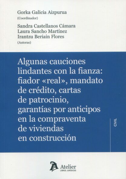 Algunas cauciones lindantes con la fianza: fiador "real", mandato de crédito, cartas de patrocinio garantías por anticipos en la compraventa de viviendas en construcción
