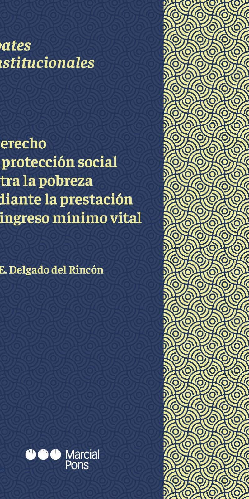 Derecho a la protección social / L.E. Delgado/ 9788413818580