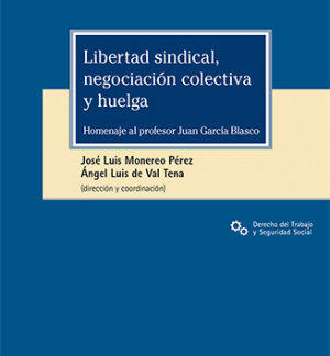 Libertad sindical, negociación colectiva y huelga. Estudios sobre la reciente jurisprudencia en homenaje al profesor Juan García Blasco