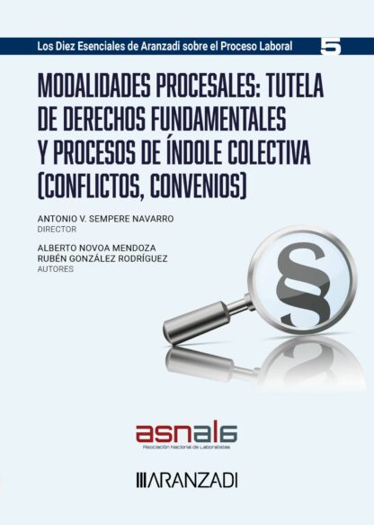 Modalidades procesales: tutela de derechos fundamentales y procesos de índole colectiva (Conflictos, convenios)