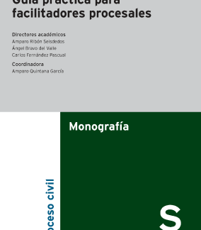 Guía práctica para facilitadores procesales